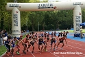 Z294 mg_final